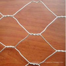 Строительные материалы Гальванизированный гексагональной сетки сетки (Anjia-105)